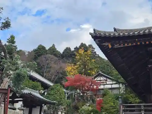 東大寺(奈良県)