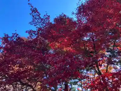 大山阿夫利神社(神奈川県)