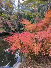 武蔵一宮氷川神社(埼玉県)