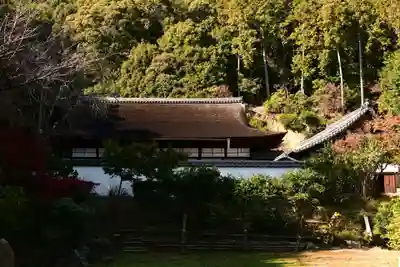 正伝護国禅寺(正伝寺･正傳寺)(京都府)