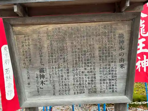 秩父今宮神社の{uncategorized: "未分類", other: "その他", undefined: "問題あり", building: "その他建物", grave: "お墓", sacred_gate: "鳥居", guardian: "狛犬", statue: "像", buddha: "仏像", history: "歴史", nature: "自然", garden: "庭園", animal: "動物", pagoda: "塔", temizu: "手水舎", mountain_gate: "山門・神門", sanctuary: "本殿・本堂", subordinate: "末社・摂社", art: "芸術", scenery: "景色", jizo: "地蔵", ema: "絵馬", goshuin: "御朱印", omikuji: "おみくじ", items: "授与品その他", amulet: "お守り", goshuincho: "御朱印帳", eats: "食事", festival: "お祭り", votive_dance: "神楽", shichigosan: "七五三参", wedding: "結婚式", experience: "体験その他", initially: "初詣", around: "周辺", anti_infection: "感染症対策"}