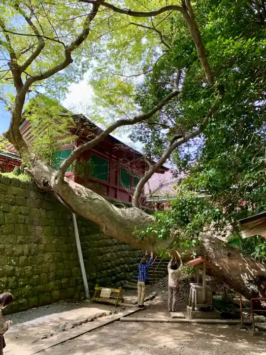 志波彦神社・鹽竈神社の{uncategorized: "未分類", other: "その他", undefined: "問題あり", building: "その他建物", grave: "お墓", sacred_gate: "鳥居", guardian: "狛犬", statue: "像", buddha: "仏像", history: "歴史", nature: "自然", garden: "庭園", animal: "動物", pagoda: "塔", temizu: "手水舎", mountain_gate: "山門・神門", sanctuary: "本殿・本堂", subordinate: "末社・摂社", art: "芸術", scenery: "景色", jizo: "地蔵", ema: "絵馬", goshuin: "御朱印", omikuji: "おみくじ", items: "授与品その他", amulet: "お守り", goshuincho: "御朱印帳", eats: "食事", festival: "お祭り", votive_dance: "神楽", shichigosan: "七五三参", wedding: "結婚式", experience: "体験その他", initially: "初詣", around: "周辺", anti_infection: "感染症対策"}