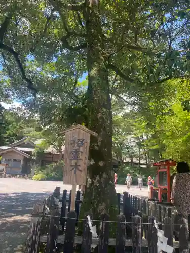 霧島神宮(鹿児島県)