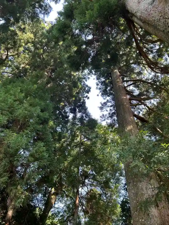 天一神社(奈良県)