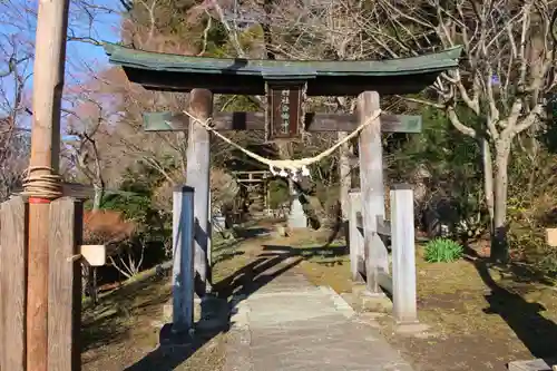 白幡神社の鳥居