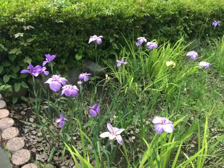 寒川神社の自然