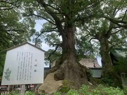 太宰府天満宮の庭園