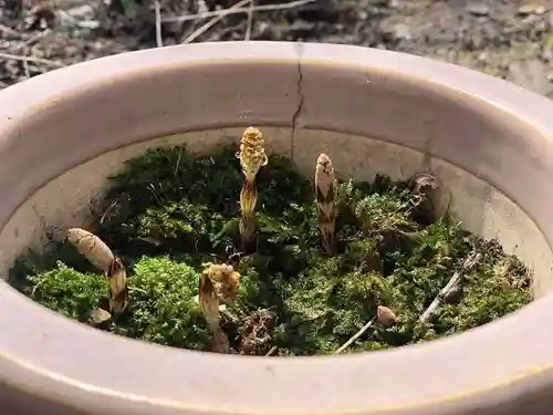 木舟山　順教寺(広島県)