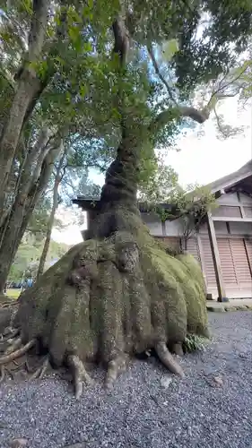 伊雜宮（皇大神宮別宮）(三重県)