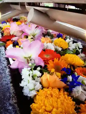 鳩森八幡神社(東京都)