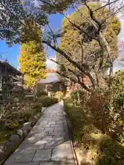 元慶寺(京都府)