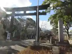 愛知縣護國神社の鳥居