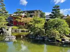 蓮華王院（三十三間堂）の庭園