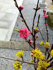 滑川神社 - 仕事と子どもの守り神の建物その他