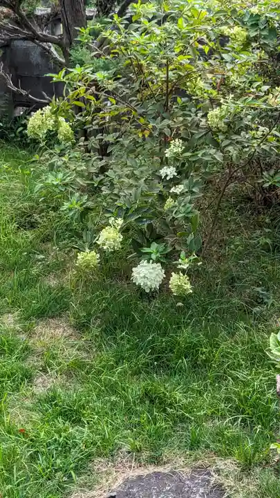 満願寺(京都府)