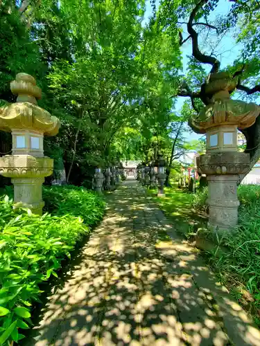 神炊館神社 ⁂奥州須賀川総鎮守⁂の景色