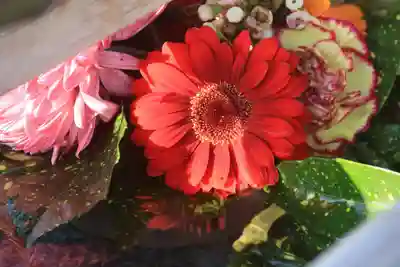 豊景神社の手水舎