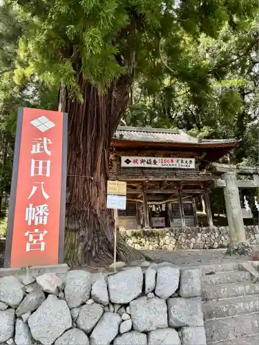 武田八幡宮(山梨県)