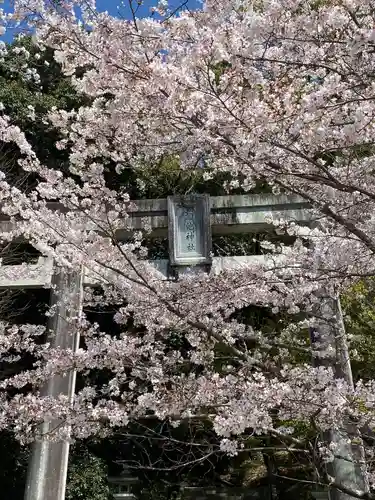 菊池神社(熊本県)