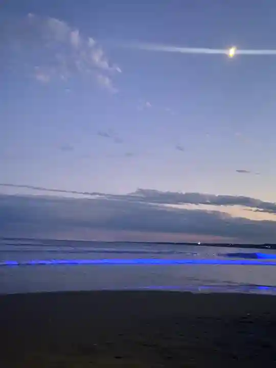 大洗磯前神社(茨城県)