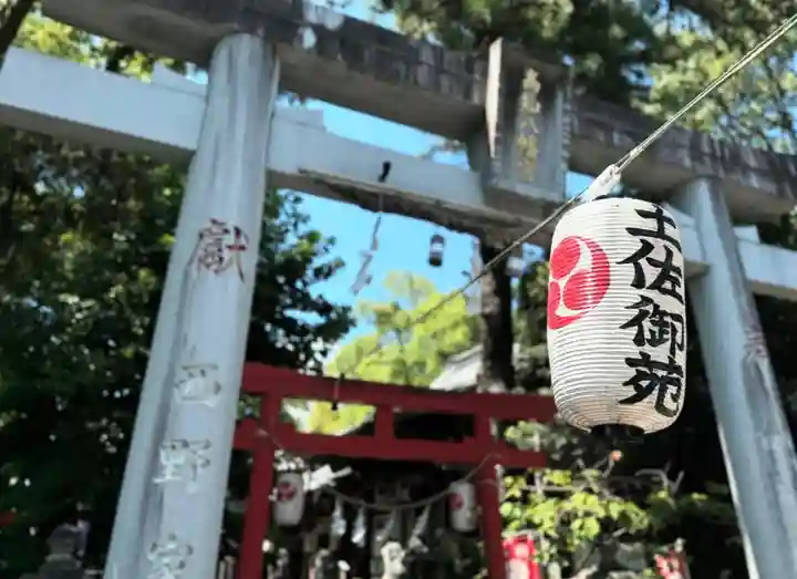 高知八幡宮(高知県)