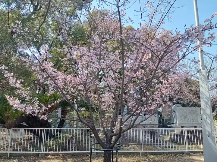 大阪護國神社(大阪府)