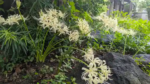 全興寺(大阪府)