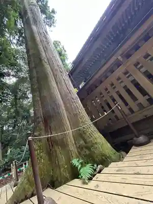 鹿島神宮(茨城県)