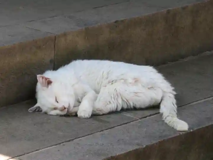 愛宕神社(東京都)