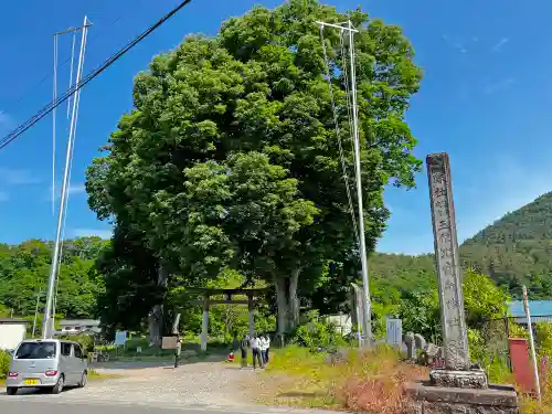 玉依比売命神社の鳥居