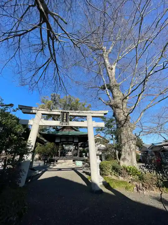 日吉神社(水口町泉)(滋賀県)