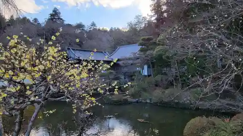 宝登山神社(埼玉県)