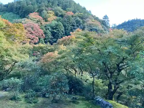 高山寺(京都府)