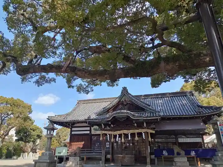 百舌鳥八幡宮(大阪府)