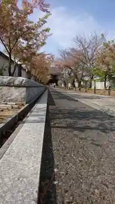 大乗山妙林寺の周辺