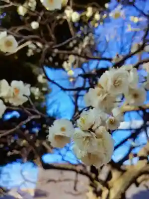 新井天神北野神社(東京都)