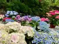 長谷寺(奈良県)