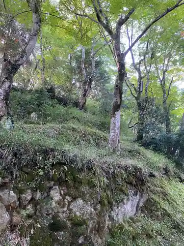 新大佛寺の自然