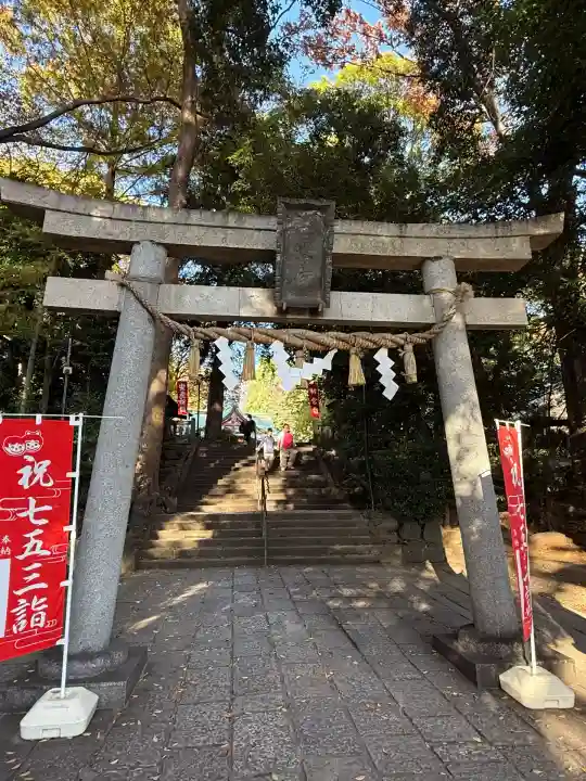 世田谷八幡宮(東京都)