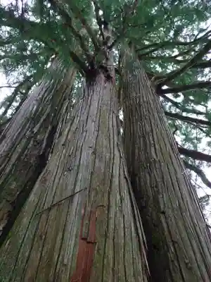 戸隠神社中社(長野県)