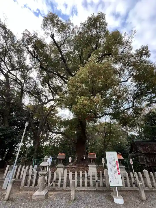 泉穴師神社(大阪府)