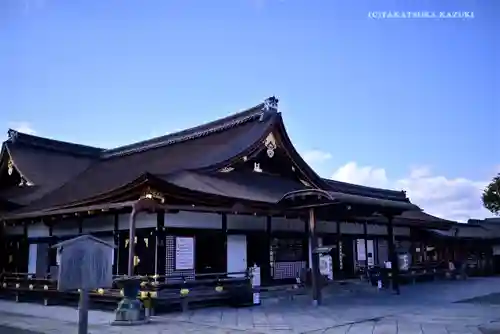 東寺（教王護国寺）の本殿・本堂