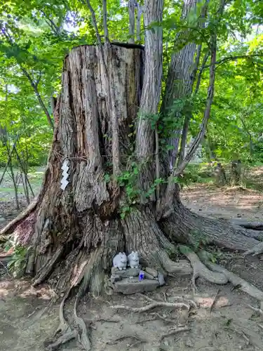 帯廣神社の自然