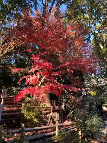 平塚八幡宮の庭園