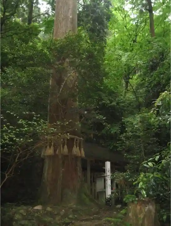 鞍馬寺のその他建物