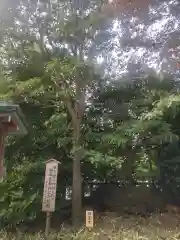 寒川神社(神奈川県)