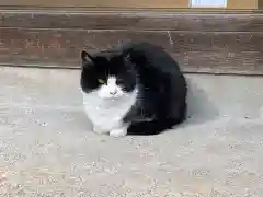 今市報徳二宮神社の動物