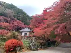 普門寺(切り絵御朱印発祥の寺)の建物その他