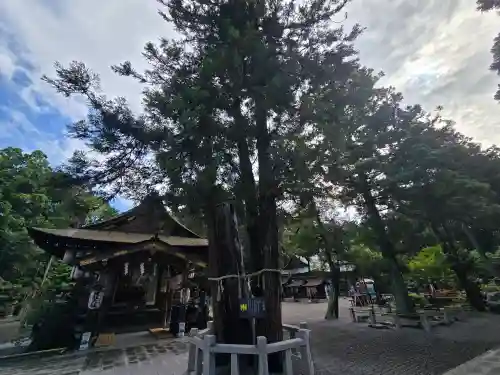 建部大社(滋賀県)