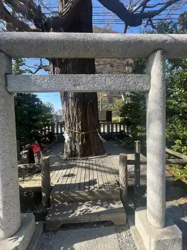 朝日氷川神社(埼玉県)